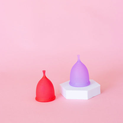 🌸 Cup + Applicator Combo – Free Shipping