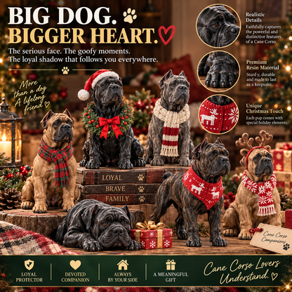 🐾 24 Days of Cane Corso Love — Big Dog, Bigger Heart, Always Family ❤️