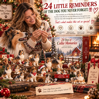 24 Days of Collie Memories — 24 Little Reminders of the Dog You Never Forget ❤️🐾