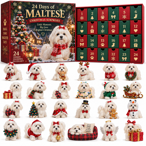 24 Days of Maltese Joy – A Christmas Collection of Little Moments & Big Love🐾❤️