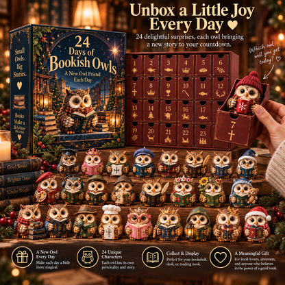 🦉 24 Days of Owl Stories — Bookish Owls & Christmas Owl Village Collection
