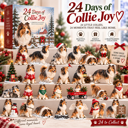 24 Days of Collie Memories — 24 Little Reminders of the Dog You Never Forget ❤️🐾
