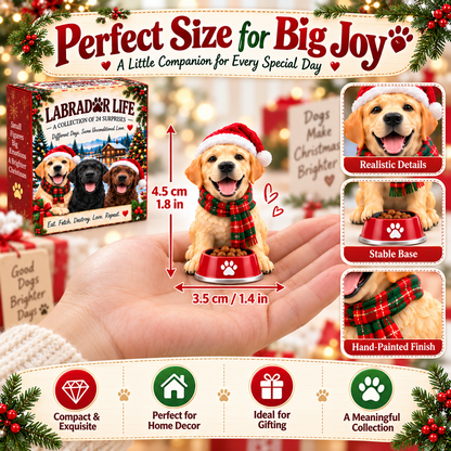 🐶 If You Know Labs, You Know! — 24 Days of Labrador Love & Little Surprises ❤️