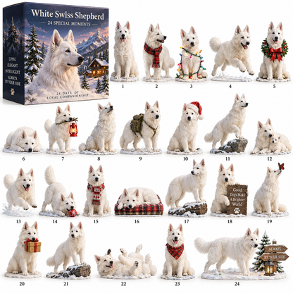 🤍 Always By Your Side — 24 Little White Shepherd Moments