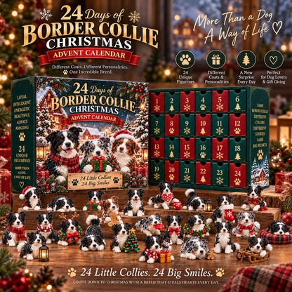 🐾 Ready for 24 Days of Border Collie Magic?! 🎄 2026 Advent Calendar – 24 Unique Paws & Personalities!
