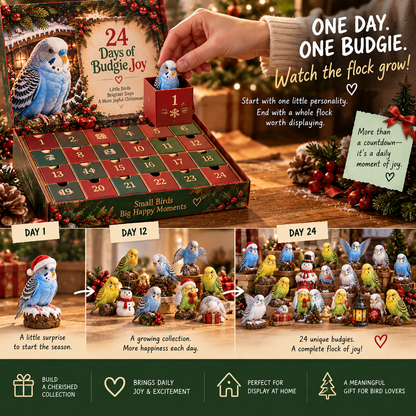 24 Days of Budgie Joy – 24 Little Birds, 24 Big Personalities 🐦❤️