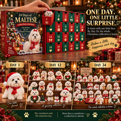 24 Days of Maltese Joy – A Christmas Collection of Little Moments & Big Love🐾❤️