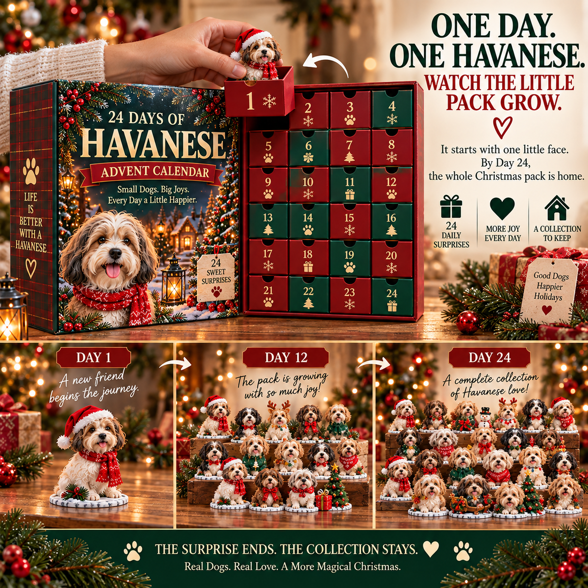 24 Days of Havanese Joy – A Christmas Collection for Havanese Lovers🐾🎄