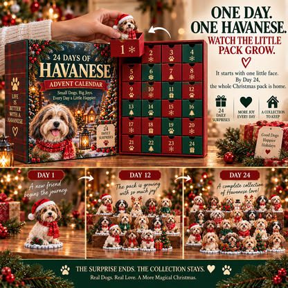24 Days of Havanese Joy – A Christmas Collection for Havanese Lovers🐾🎄