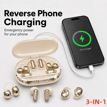 🦻3 in 1 Wireless Earbuds with Power Bank Case