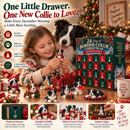 🐾 Ready for 24 Days of Border Collie Magic?! 🎄 2026 Advent Calendar – 24 Unique Paws & Personalities!