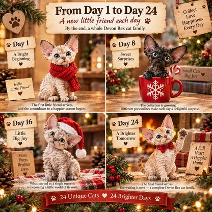 24 Days of Devon Rex Cats – 24 Little Curls, 24 Big Personalities