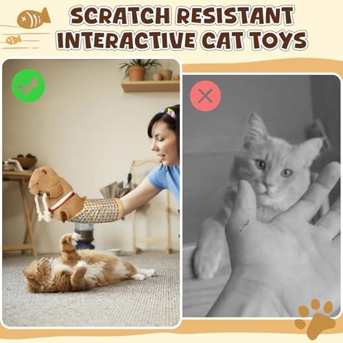 ✨ Last Day – 50% OFF!✨Cat Wrestling Glove