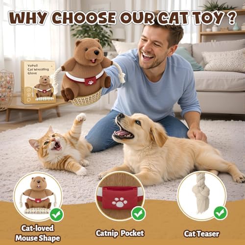 ✨ Last Day – 50% OFF!✨Cat Wrestling Glove