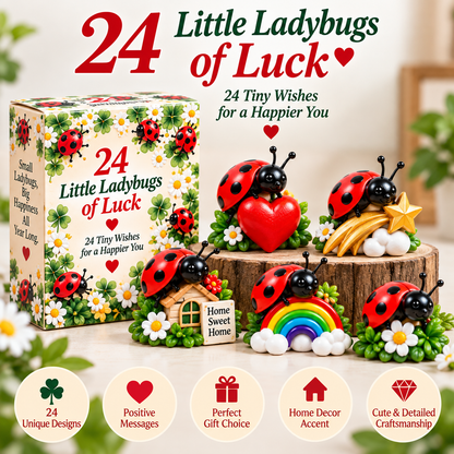 🐞 A Little Luck Every Day — 24 Lucky Ladybugs, 24 Wishes for a Brighter Tomorrow 🍀