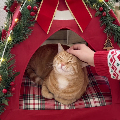🔥50% OFF THIS WEEK! 🎄 Give Your Pet Their Own Magical Christmas Hideaway! ✨
