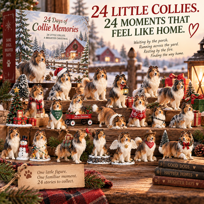 24 Days of Collie Memories — 24 Little Reminders of the Dog You Never Forget ❤️🐾