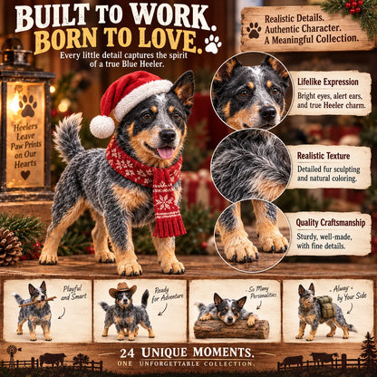 🐾 24 Days of Blue Heelers Advent Calendar – 24 Unique Australian Cattle Dog Figurines, Christmas Gift for Blue Heeler Lovers