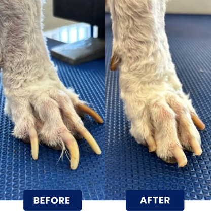 Arjwveany™ | Stress-Free Nail Care