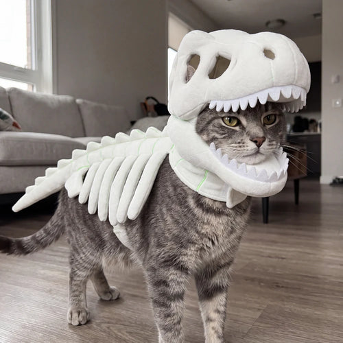 🐱 DinoSkele Cat Costume