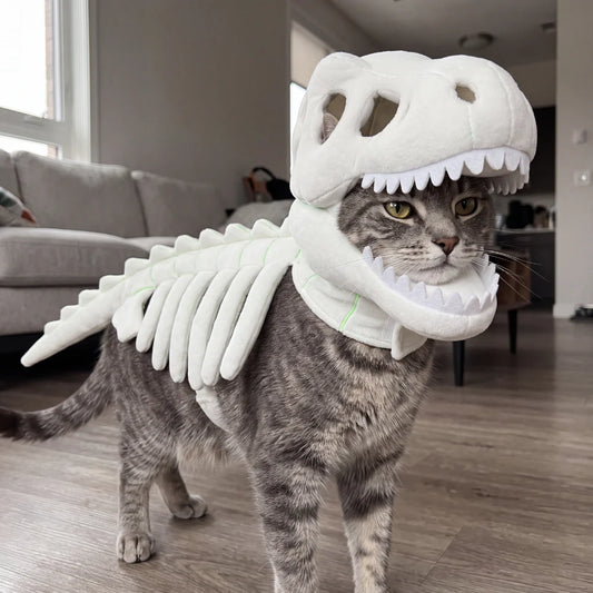 🐱 DinoSkele Cat Costume