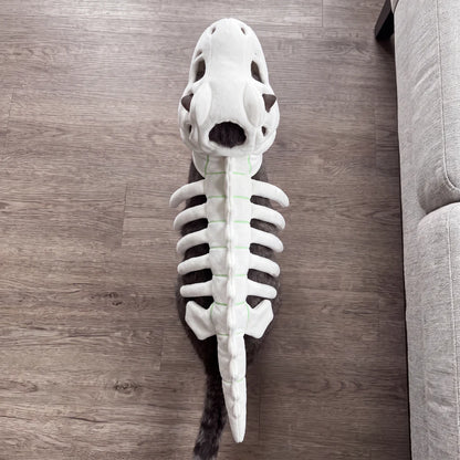 🐱 DinoSkele Cat Costume