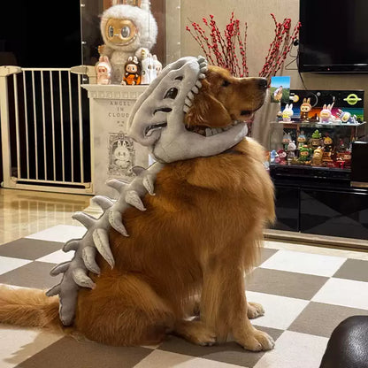 🐱 DinoSkele Cat Costume