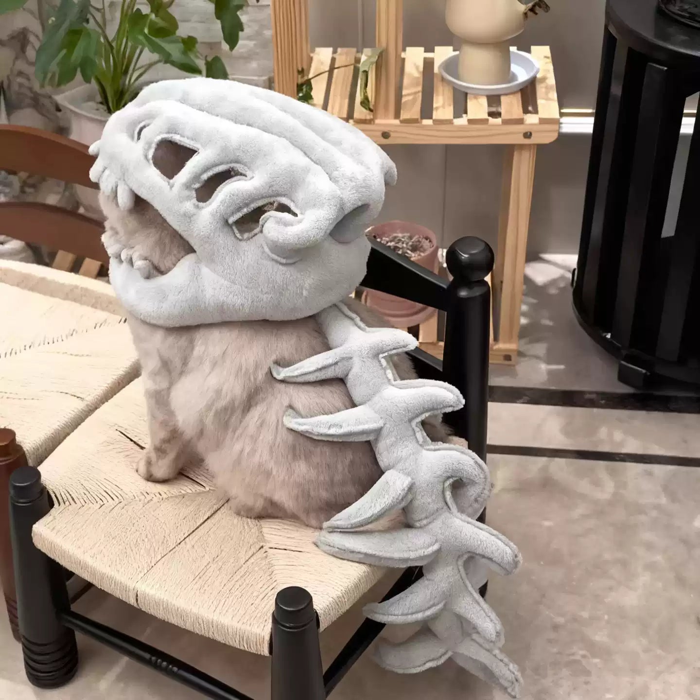🐱 DinoSkele Cat Costume