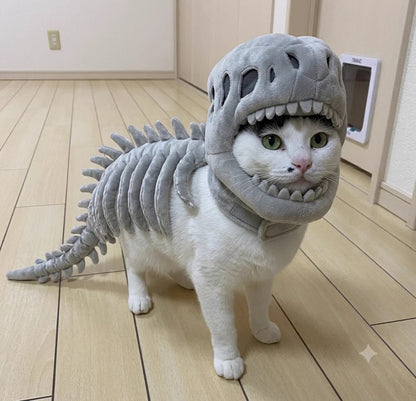 🐱 DinoSkele Cat Costume