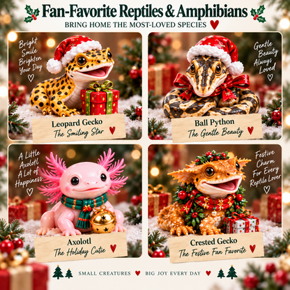 🦎🐍🐢Small Creatures, Big Christmas — 24 Reptile & Amphibian Holiday Pals