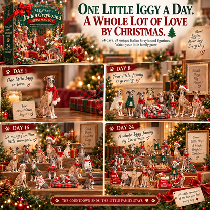 24 Days of Iggy Love — Small Dogs, Big Personalities ❤️🎄
