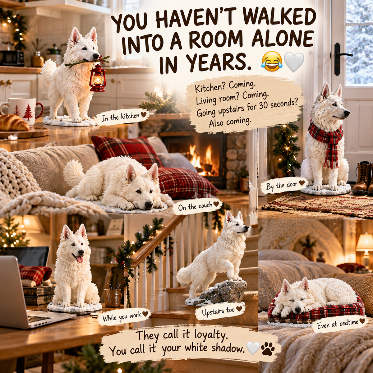 🤍 Always By Your Side — 24 Little White Shepherd Moments
