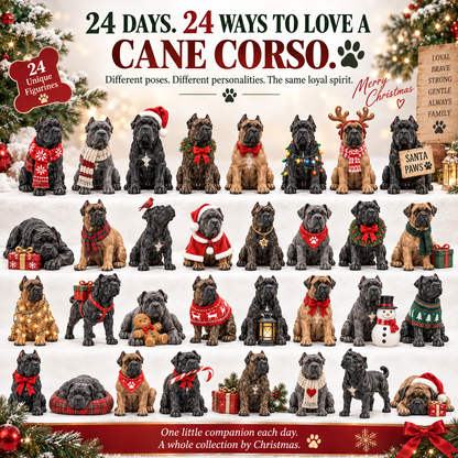 🐾 24 Days of Cane Corso Love — Big Dog, Bigger Heart, Always Family ❤️