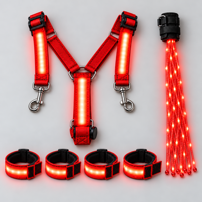 LED Horse Riding Light Set – Neck, Tail & 4 Leg Bands ✨