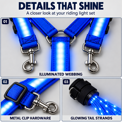 LED Horse Riding Light Set – Neck, Tail & 4 Leg Bands ✨