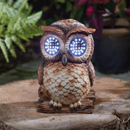 Firefly Solar Light Co Animated Eyes Solar Light