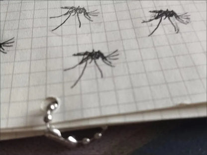 🦟PCS Mosquito Stamps for DIY Crafts😂