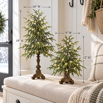 🔥Vintage Lighted Norfolk Pine Tree